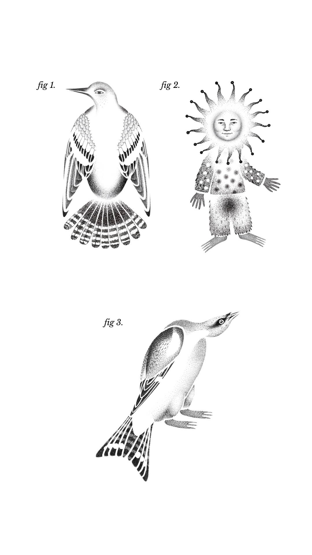Ilustraciones 1 a 3: dos aves y una figura con cabeza de sol